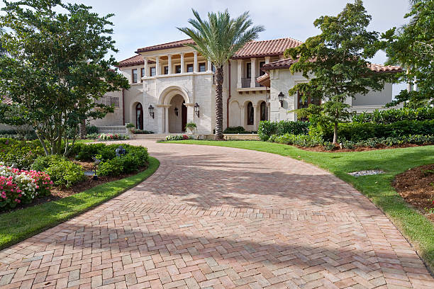 Best Driveway Paving Near Me  in Vaeboro, NC