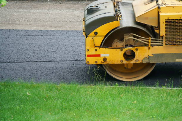 Best Driveway Paving Contractor  in Vaeboro, NC