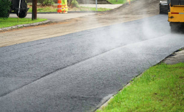 Best Local Driveway Pavers  in Vaeboro, NC