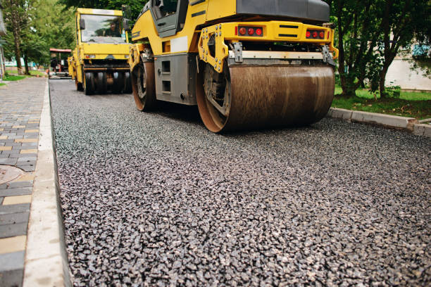 Best Local Driveway Pavers  in Vaeboro, NC